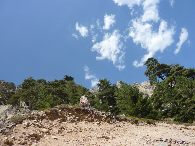 Les histoires de la Corse de Jean-Marc Talamoni